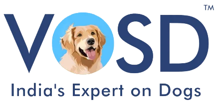 Home 10 VOSD Logo 1